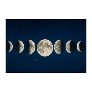 Moon Phases Wall Mural - product only on white background