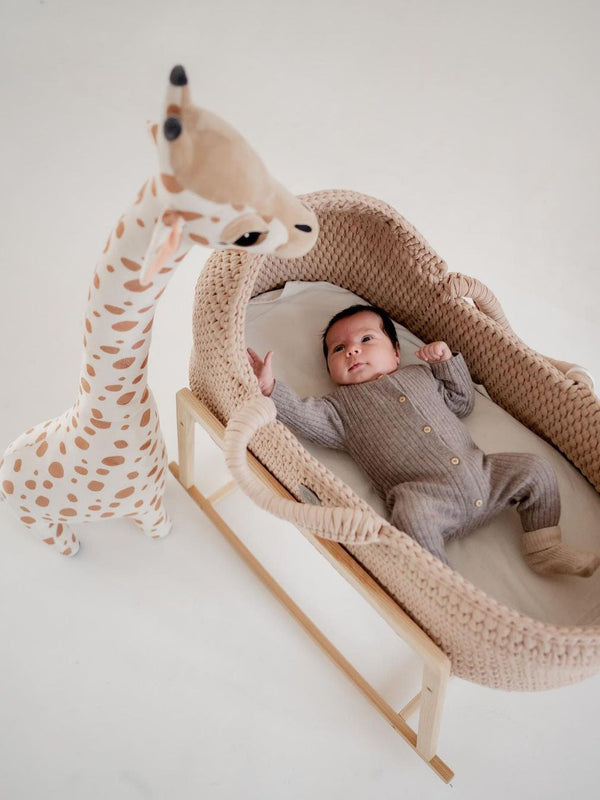 Standard Moses Basket with Round Hood