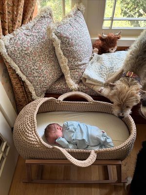 Standard Moses Basket with Round Hood