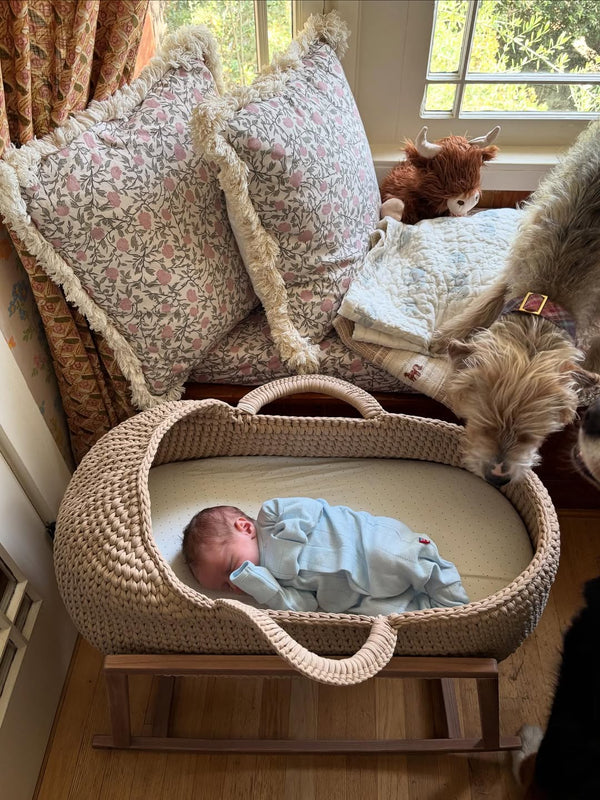Standard Moses Basket with Round Hood
