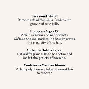 Hair Mask Scalp Treatment & Miracle Shampoo