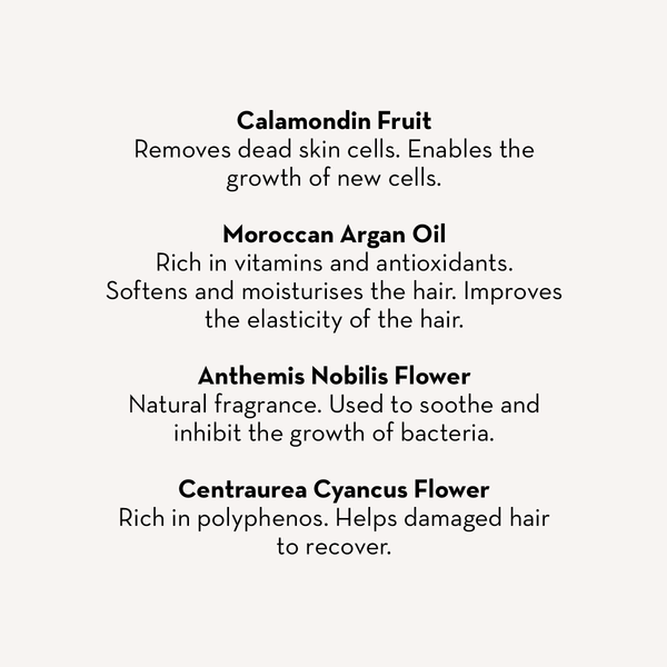 Hair Mask Scalp Treatment & Miracle Shampoo