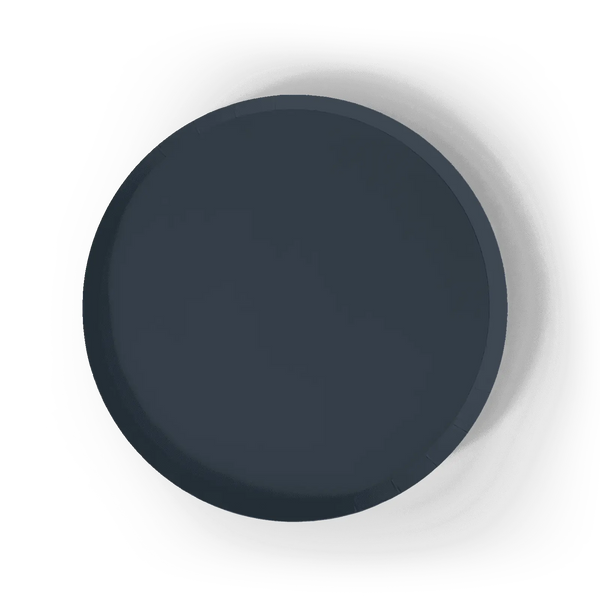 Navy Paper Party Plate (8pcs)