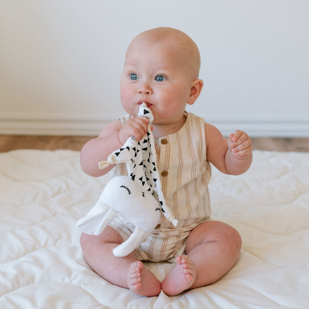 Cuddle Bunny Bow Ties - Adorable accessories for your little one's cuddly companion.