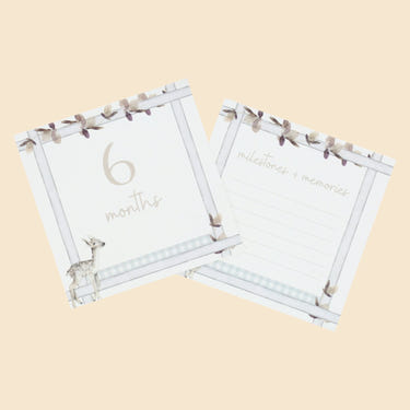 Infant Milestone + Memory Cards (0-12 months)