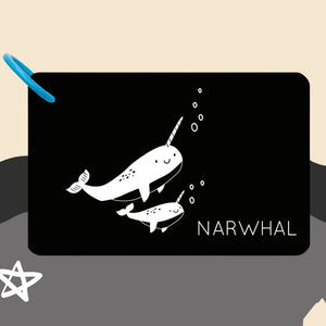 High-Contrast Vision Development Cards