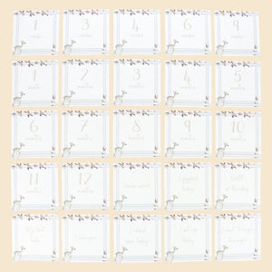 Infant Milestone + Memory Cards (0-12 months)