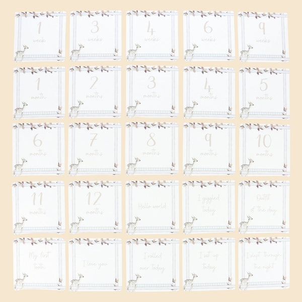 Infant Milestone + Memory Cards (0-12 months)