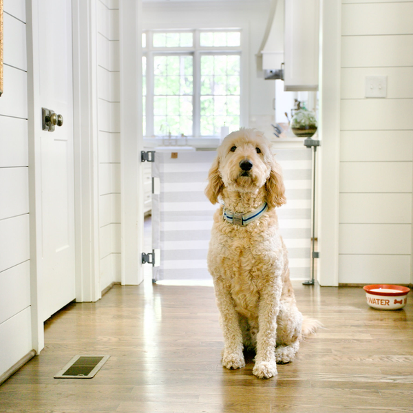Stylish Crypton® Fabric Baby & Pet Safety Gate, stain-resistant, PFAS-free, fits 27.6" to 55" wide openings, 33" tall.