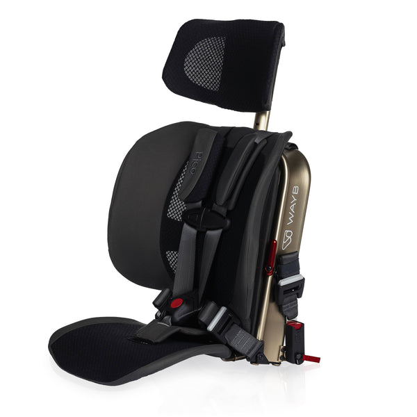Pico™ Portable Car Seat
