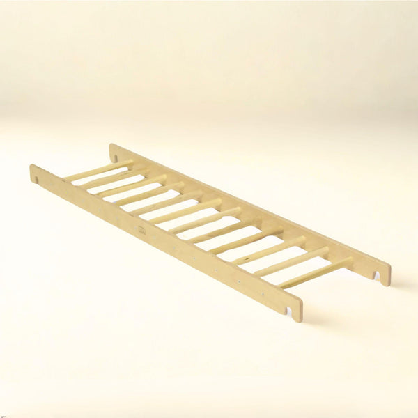 Ladder