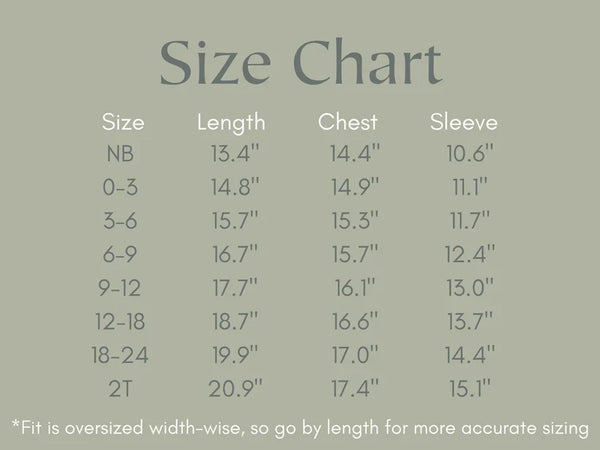 Silly Goose Bamboo Baby Romper - teal or blue