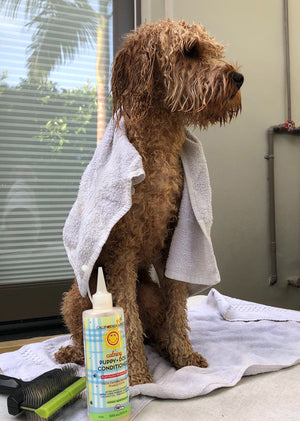 Calming™  Puppy + Dog Conditioner