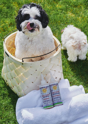 Super Sensitive™ Puppy + Dog + Kitty Wash bottle from angle 3, no fragrance, ideal for sensitive fur babies.