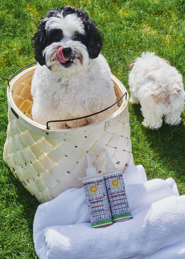 Super Sensitive™ Puppy + Dog + Kitty Wash bottle from angle 3, no fragrance, ideal for sensitive fur babies.
