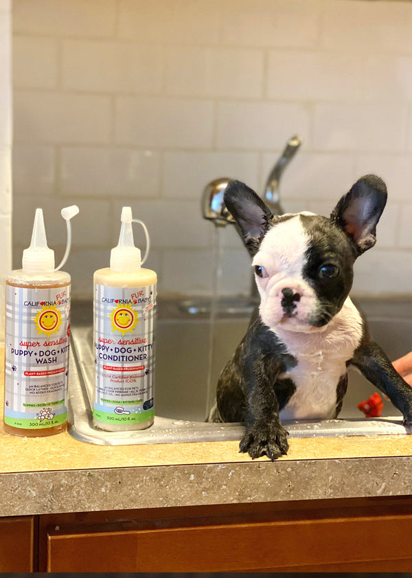 Super Sensitive™ Puppy + Dog + Kitty Wash - No Fragrance, fur baby grooming product, angle view.