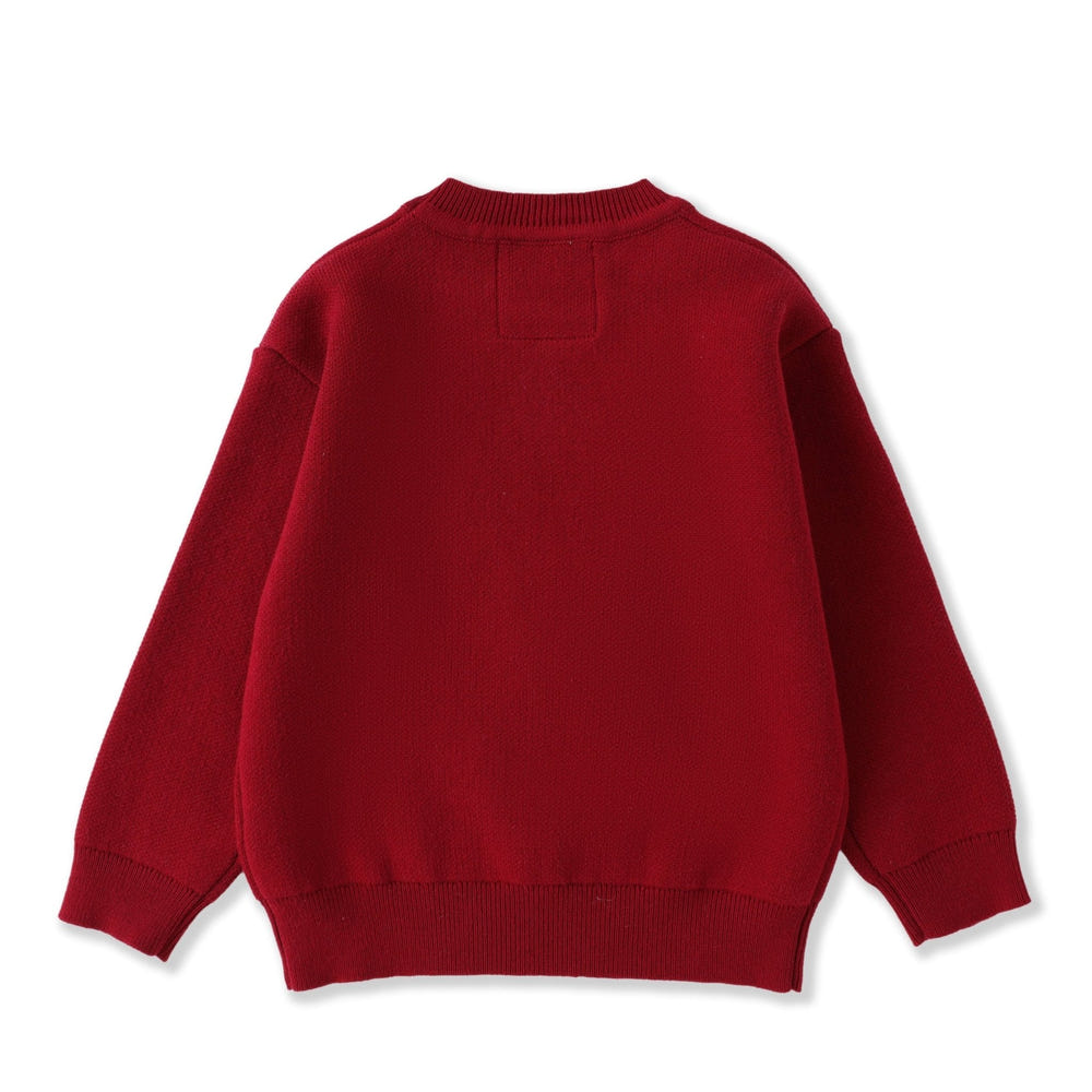 Red Santa sweater for babies, perfect for festive occasions and holiday celebrations.