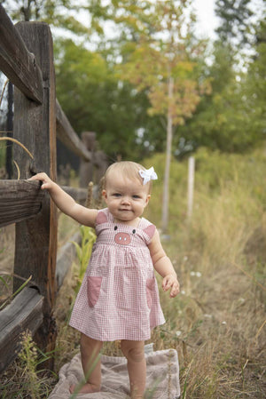 Rose Gingham Little Piggy Sleeveless A-Line Dress