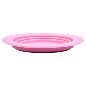 Rose Collapsible Bowl for Travel or Home