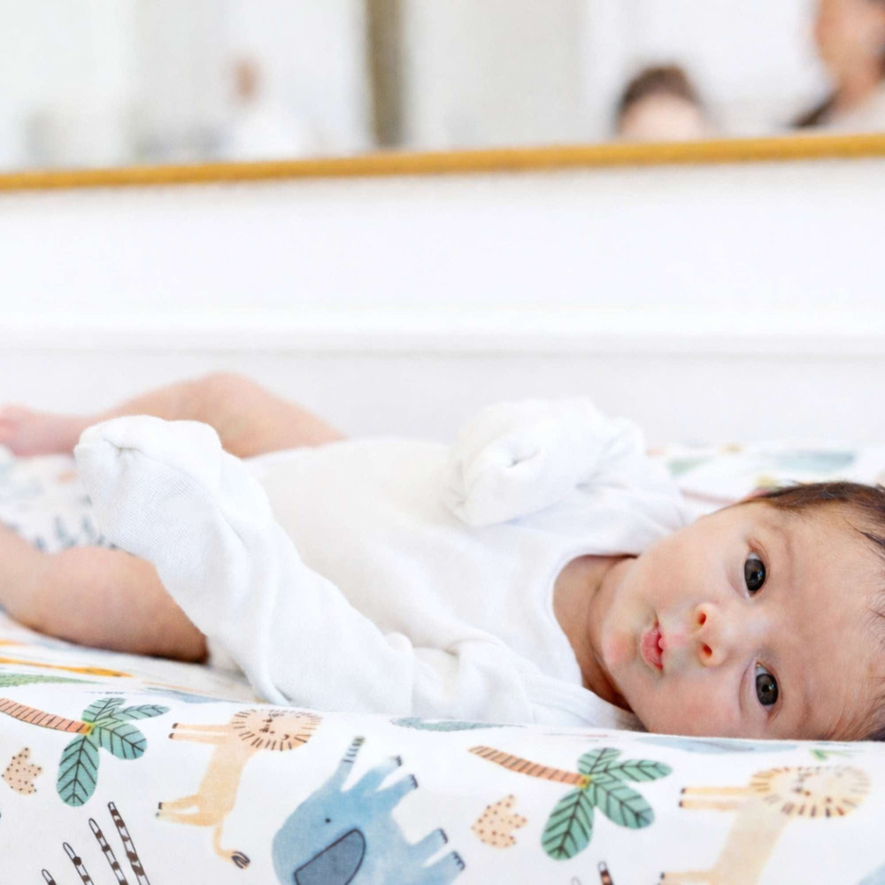 Organic Changing Pad Cover - Safari