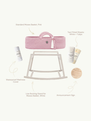 Essential Moses Basket Set Standard