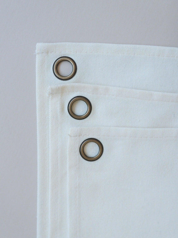 Wild One First Birthday Canvas Banner - Dino Theme