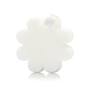 Coconut Verbena | Boxed Flower