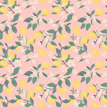 Pink Lemon Floral Print Cap Sleeve Swirly Girl Dress