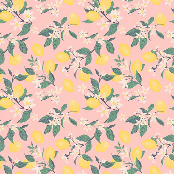 Pink Lemon Floral Print Cap Sleeve Swirly Girl Dress