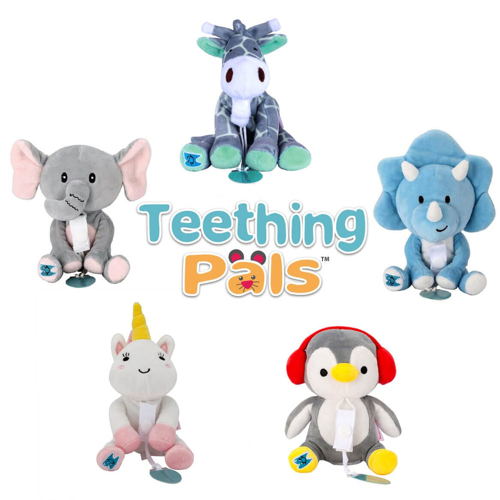 Teething Pals pacifier clip for babies, colorful and safe for teething relief.