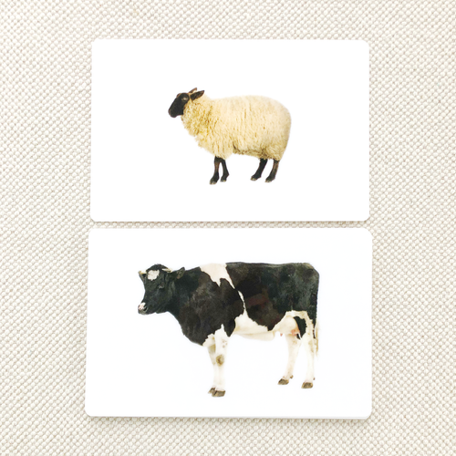 Farm Animal Toddler Cards for early learning, featuring colorful illustrations of farm animals for toddlers.
