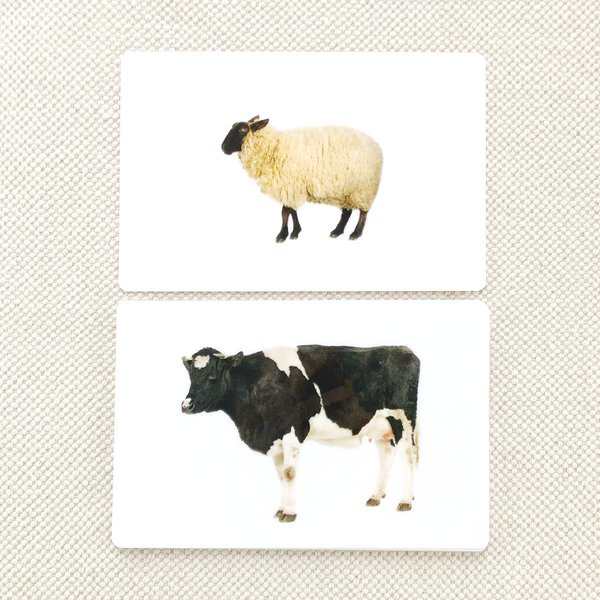 Farm Animal Toddler Cards