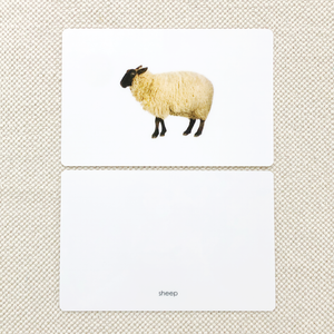 Farm Animal Toddler Cards