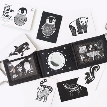 Baby Tummy Time Gallery with Mirror Bundle - engaging gift set for infant development and playtime.