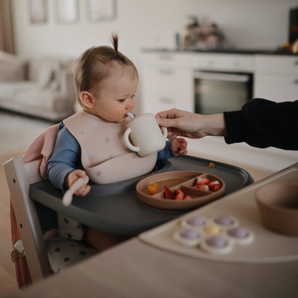 Mushie Silicone Suction Bowl for Babies Learning to Feed