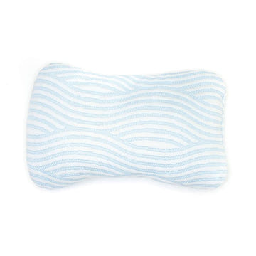 Voyager Travel Pillows