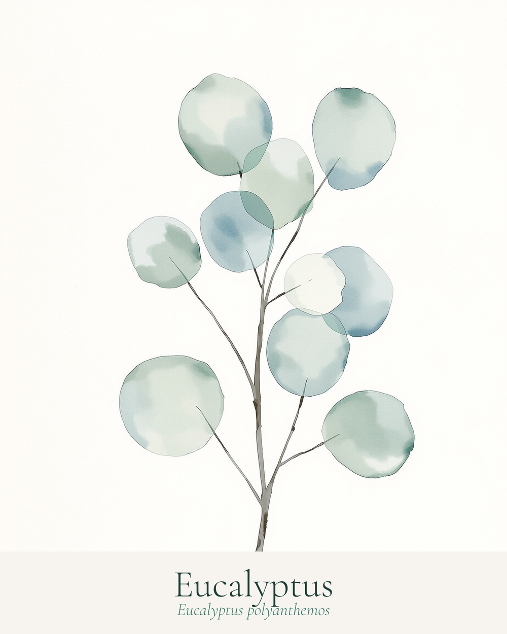 lifestyle wall art botanical