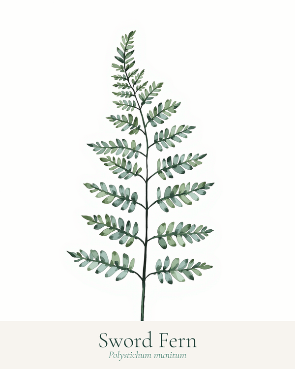 wall art botanical fern