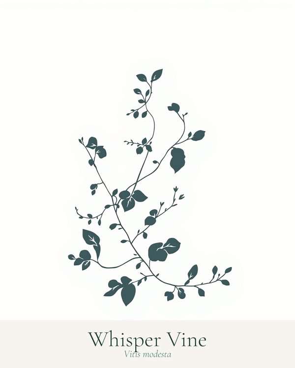 wall art botanical line botanical