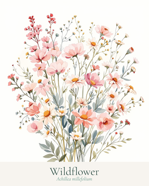wall art botanical wildflower