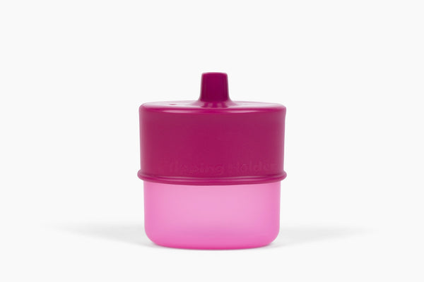 KiddyTrek 4-in-1 Sip & Snack Set: versatile food pouch, juice box holder, snack cup, and sip cup for babies.